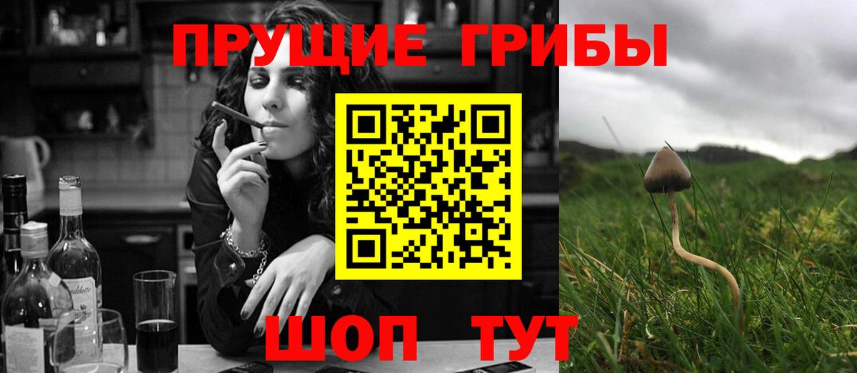 Галлюциногенные грибы Psilocybine cubensis Сызрань